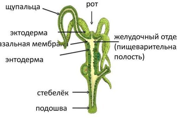 Даркнет официальный сайт вход